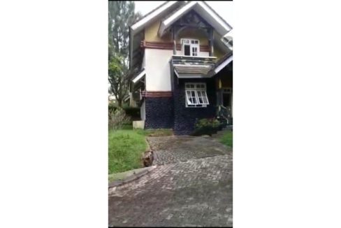 Disewakan Villa Lokasi Kota Bunga-titipproperty.com